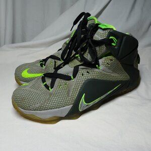 Nike Lebron James Dunk Force XII Basketball Shoes Size 11.5